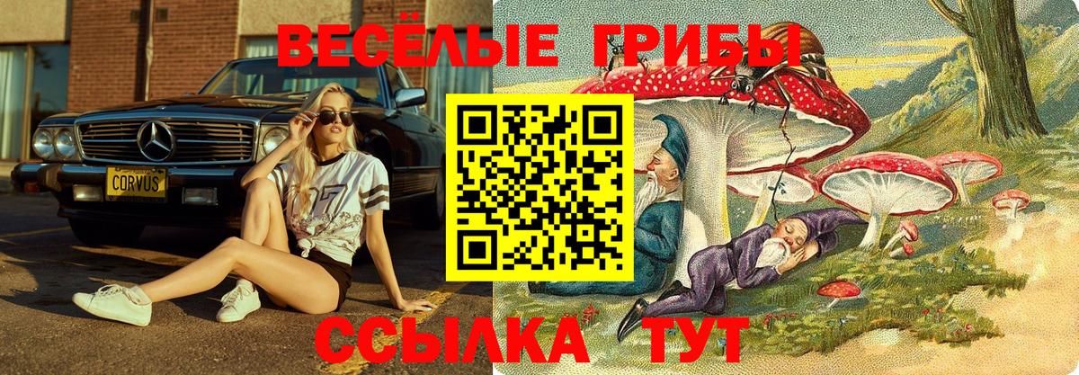 Галлюциногенные грибы Magic Shrooms Корсаков