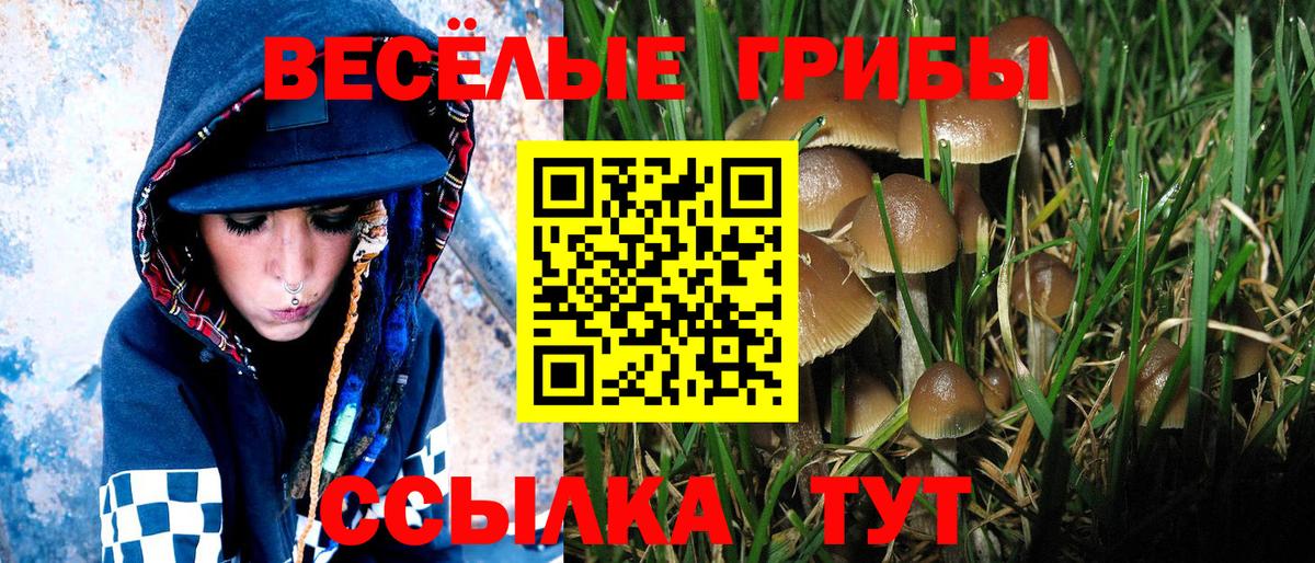 Корсаков  Галлюциногенные грибы мухоморы  Вход с VPN  Галлюциногенные грибы Cubensis 